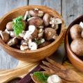 Champignons - tipo, descrição dos cogumelos onde crescem na natureza